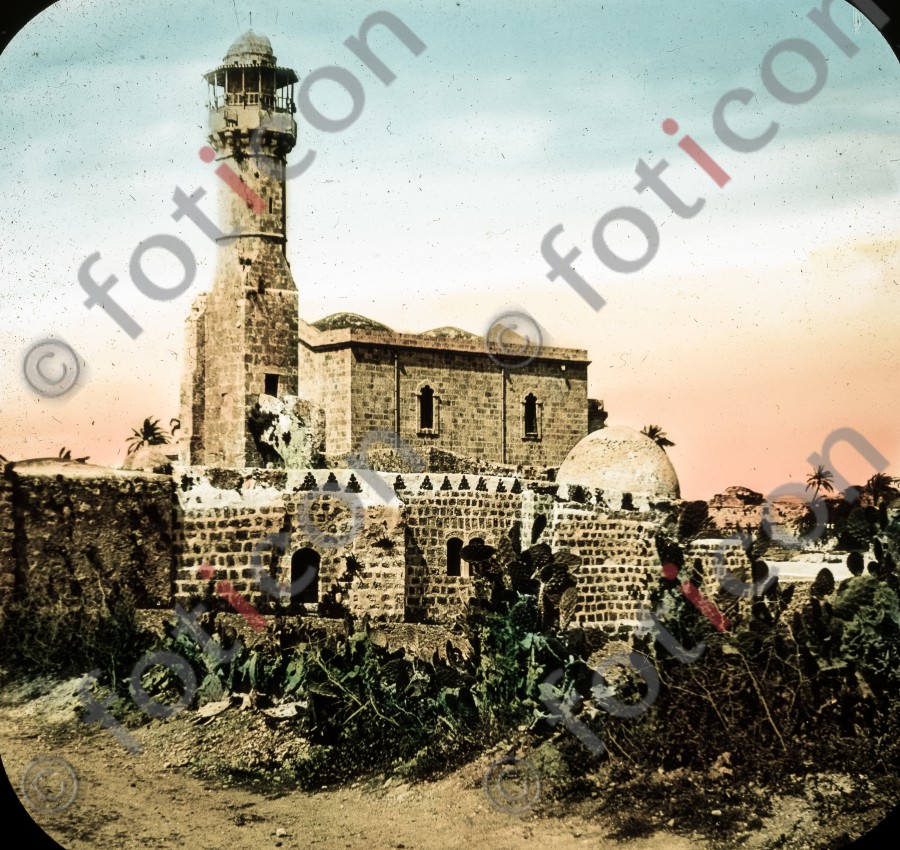 Moschee in Palästina | Mosque in Palestine - Foto foticon-simon-054-009.jpg | foticon.de - Bilddatenbank für Motive aus Geschichte und Kultur